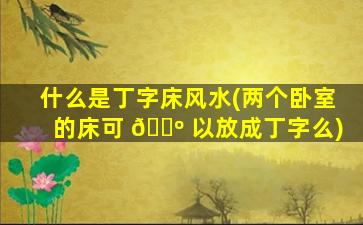 什么是丁字床风水(两个卧室的床可 🐺 以放成丁字么)